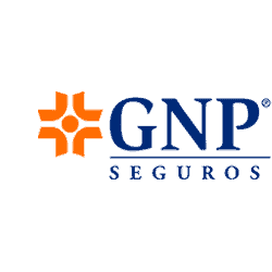 Seguros-gastos-medicos-Seguros-Seguros-GNP-1.png